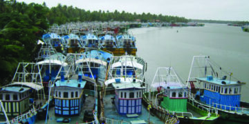 Centre to extend Kisan Credit Card to fishermen; loans will be provided at low interest rates