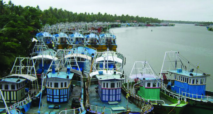 Centre to extend Kisan Credit Card to fishermen; loans will be provided at low interest rates