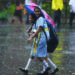 Puducherry, Karaikal schools to be closed tomorrow due to incessant rain