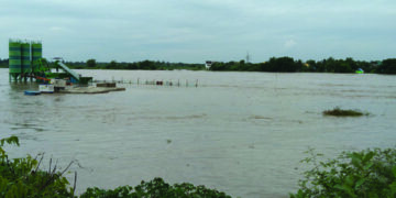 Centre forms 7-member team to assess situation in rain-hit Tamil Nadu