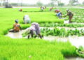 TN Agri Minister urges Centre to extend date for crop insurance enrollment