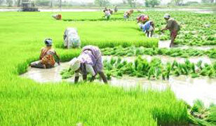 TN Agri Minister urges Centre to extend date for crop insurance enrollment
