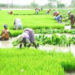 TN Agri Minister urges Centre to extend date for crop insurance enrollment