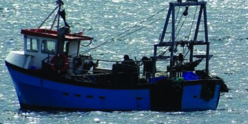 Sri Lanka Navy nabs 55 TN fishermen for alleged poaching; CM Stalin dials Centre