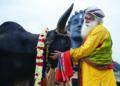 Mattu Pongal: Celebration of all that makes our life, says Sadhguru