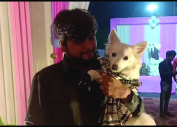 Aapnu Amdavadi spends Rs 7 lakh on pet dog’s birthday flouting COVID norms, long arm of law catches 3