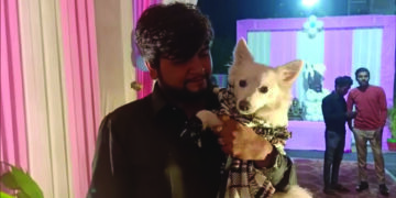 Aapnu Amdavadi spends Rs 7 lakh on pet dog’s birthday flouting COVID norms, long arm of law catches 3