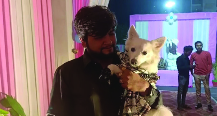 Aapnu Amdavadi spends Rs 7 lakh on pet dog’s birthday flouting COVID norms, long arm of law catches 3