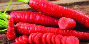 Calling on Carrots: Winter special treat full of goodness & nutrition