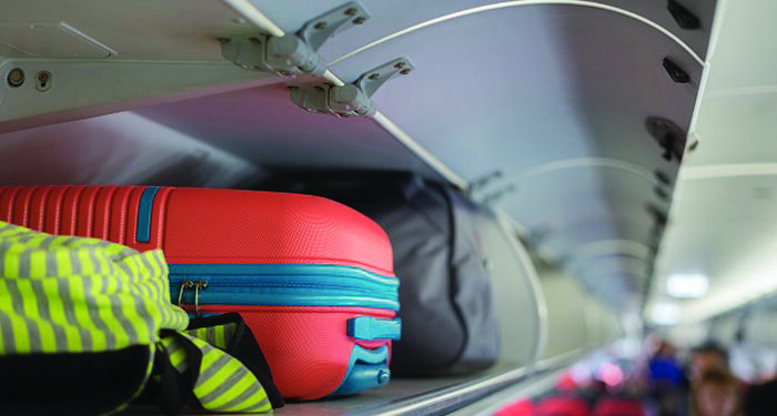 Number of handbags per passenger reduced in domestic flights