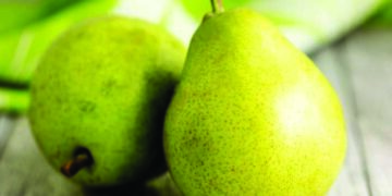 Sunday Treat – The Perseverance Of Pears