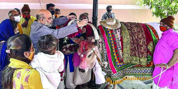 Home Minister Amit Shah celebrates Makar Sankranti with cow worship at Jagannath temple in Ahmedabad