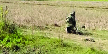 Six bombs recovered in Murshidabad, one held
