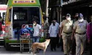 COVID-19: At 33, Gujarat sees sharp rise in daily deaths, cases fall below 12K for first time in 2 weeks