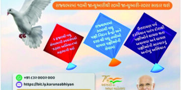Gujarat sets up care centres, ‘Karuna Abhiyan’, for treatment of birds injured by kites during Uttarayan festival