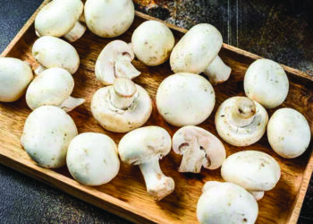 Making room for Mushrooms! – Perfect pick for weight watchers…
