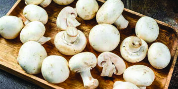 Making room for Mushrooms! – Perfect pick for weight watchers…