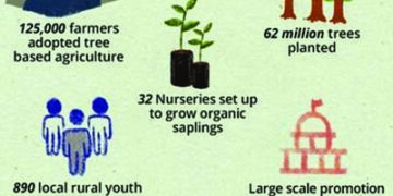 Cauvery Calling has planted of 2.1 crore saplings in 2 years: Isha Foundation