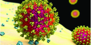 BA.2 version of Omicron identified in 18.4 pc samples in Tamil Nadu