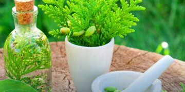 Govt gives nod for WHO global centre for traditional medicine in Jamnagar