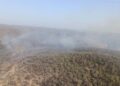 Fire breaks out at Sariska Tiger Reserve in Alwar, IAF deploys 2 copters