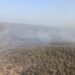 Fire breaks out at Sariska Tiger Reserve in Alwar, IAF deploys 2 copters
