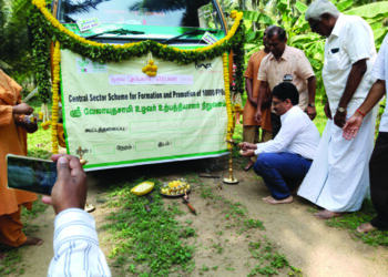 Isha-mentored Sri Velayudasamy Farmer Producer Co makes first sale of 10 tons of coconut