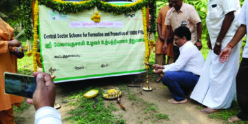 Isha-mentored Sri Velayudasamy Farmer Producer Co makes first sale of 10 tons of coconut