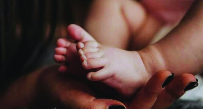 Tribal woman gives birth in ambulance as wild elephant blocks road in Erode