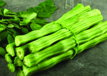 Summer Special: The Benefitting Drumstick