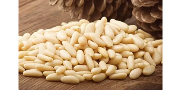 The nutty fare: Pine nuts to good health
