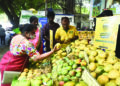 SunnyBee kickstarts week-long King of fruits ‘Mango Mela’ in Alwarpet