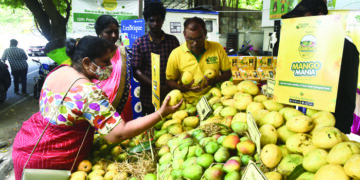 SunnyBee kickstarts week-long King of fruits ‘Mango Mela’ in Alwarpet