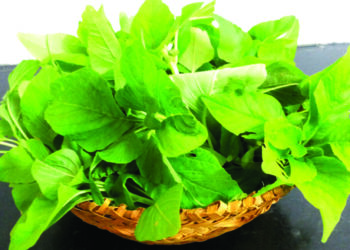 Amaranth to good health: A must have in our diets and routine cooking