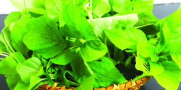Amaranth to good health: A must have in our diets and routine cooking