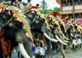 Karnataka HC bats for Radhe Krishna Temple Elephant Welfare Trust’s animal welfare activities