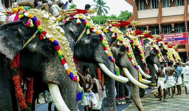 Karnataka HC bats for Radhe Krishna Temple Elephant Welfare Trust’s animal welfare activities