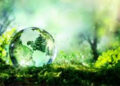 World Environment Day: AM/NS India reiterates commitment to protecting Mother Nature