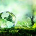 World Environment Day: AM/NS India reiterates commitment to protecting Mother Nature