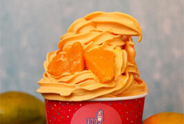 India’s favourite frozen yogurt brand ‘Myfroyoland’ opens flagship store at Satellite in Ahmedabad!