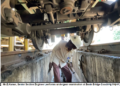 Know Your Railway-IV: Staff of coaching depots & pit lines maintain rolling stock and cleanliness of trains