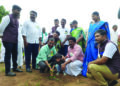 Cauvery Calling – Thondamuthur Rotary Club to plant 1 lakh trees in 60 villages