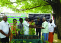 16,500 trees planted in Devarayapuram under phase 2 of ‘Green Thondamuthur’ initiative to plant 1 lakh trees