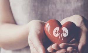 Kidney donation: Brothers celebrate a blessed Rakhshabandhan on feminine generosity in Gujarat