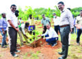S Rly Chennai DRM inaugurates mass tree plantation drive at Velachery Rly colony