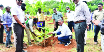 S Rly Chennai DRM inaugurates mass tree plantation drive at Velachery Rly colony