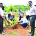S Rly Chennai DRM inaugurates mass tree plantation drive at Velachery Rly colony