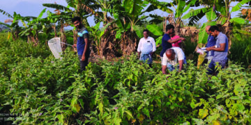 Renowned Entomologist Selvam conducts Agricultural Field Training on Insect Management under Isha aegis