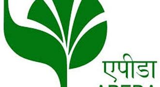 Vegan food: First consignment of plant-based meat products exported to US from Gujarat