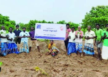 Green tribute: Cauvery Calling farmers plant 1.85 lakh saplings to mark Gandhi Jayanti in TN
